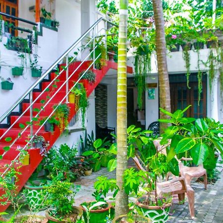 Sigiri Tarushan Home Stay Sigiriya Eksteriør billede