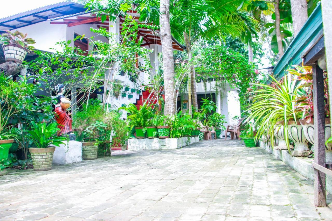Sigiri Tarushan Home Stay Sigiriya Eksteriør billede